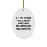 Funny Web Developer Gifts from Friends - Oval Ornament with 'If At First You Don't Succeed...' Quote for Men, Women, Coworkers, and Family - Image 1